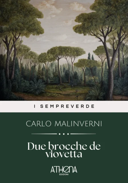 Due brocche de viovetta